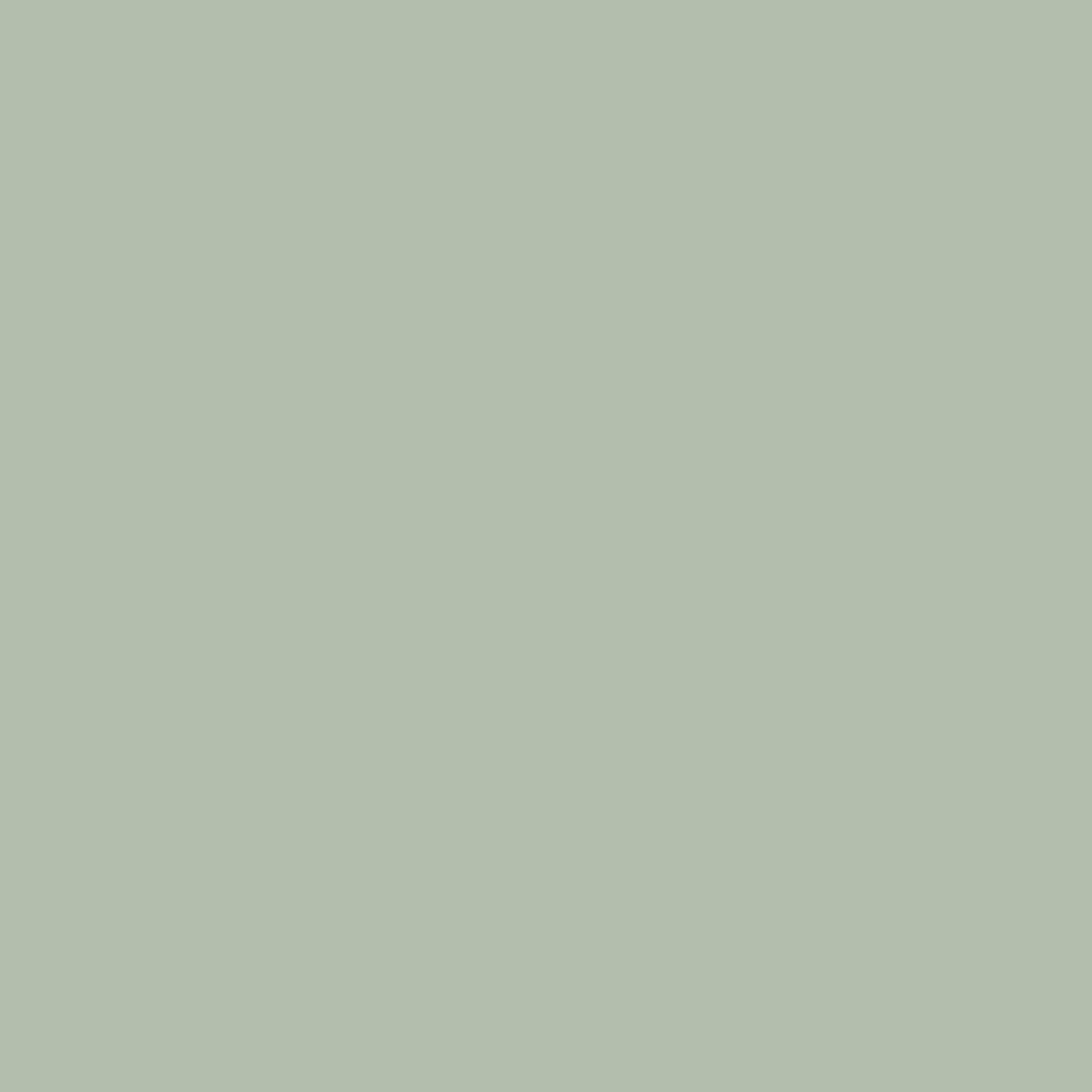 Dye Chip - Sage Green - 100