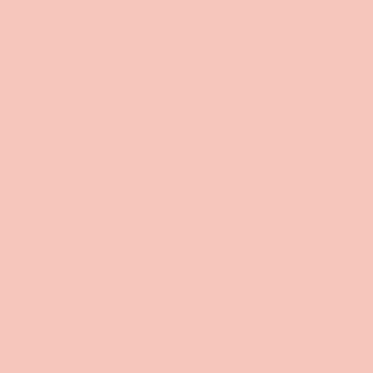 Dye Chip - Salmon - 100