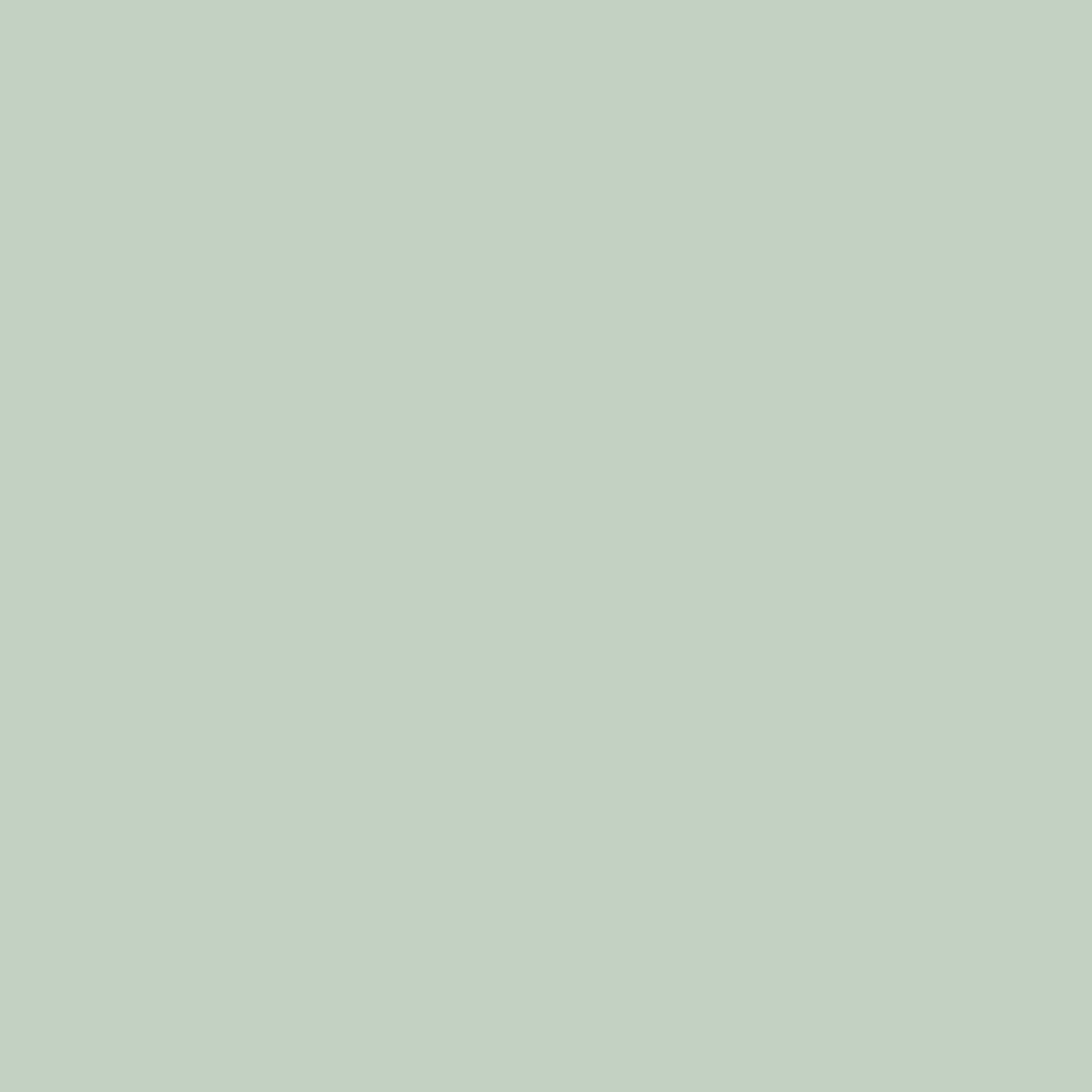 Dye Chip - Aqua Marine- 100
