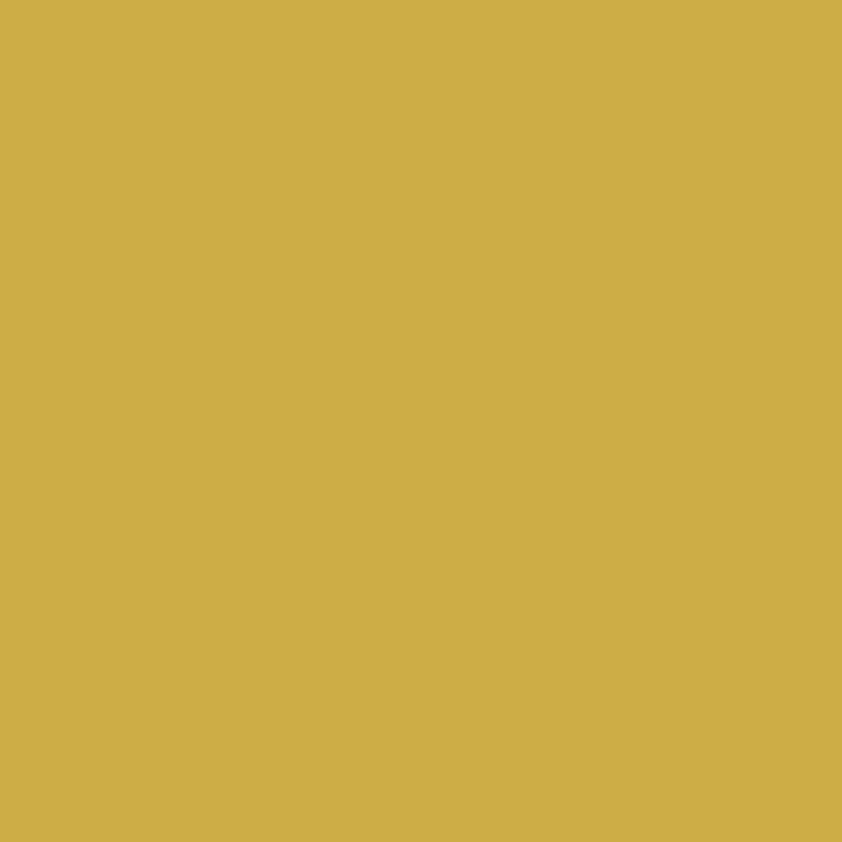 Dye Chip - Gold - 100