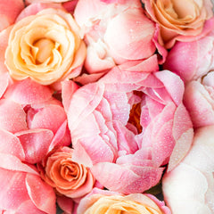 Peony Rose (520mls)