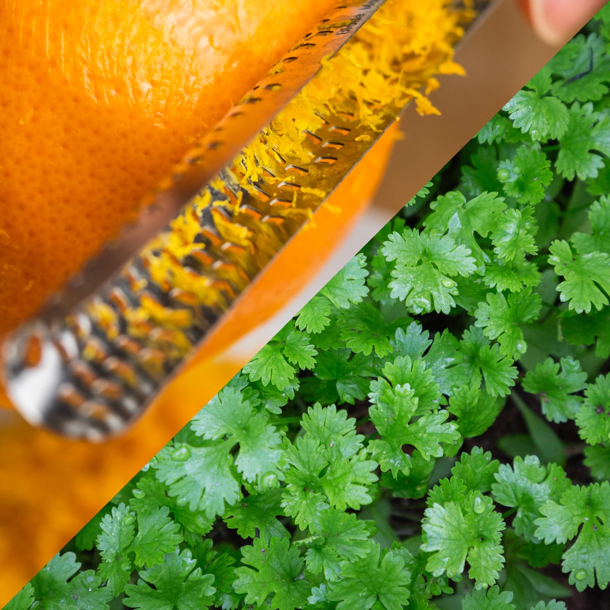 Coriander & Orange Zest (520mls)