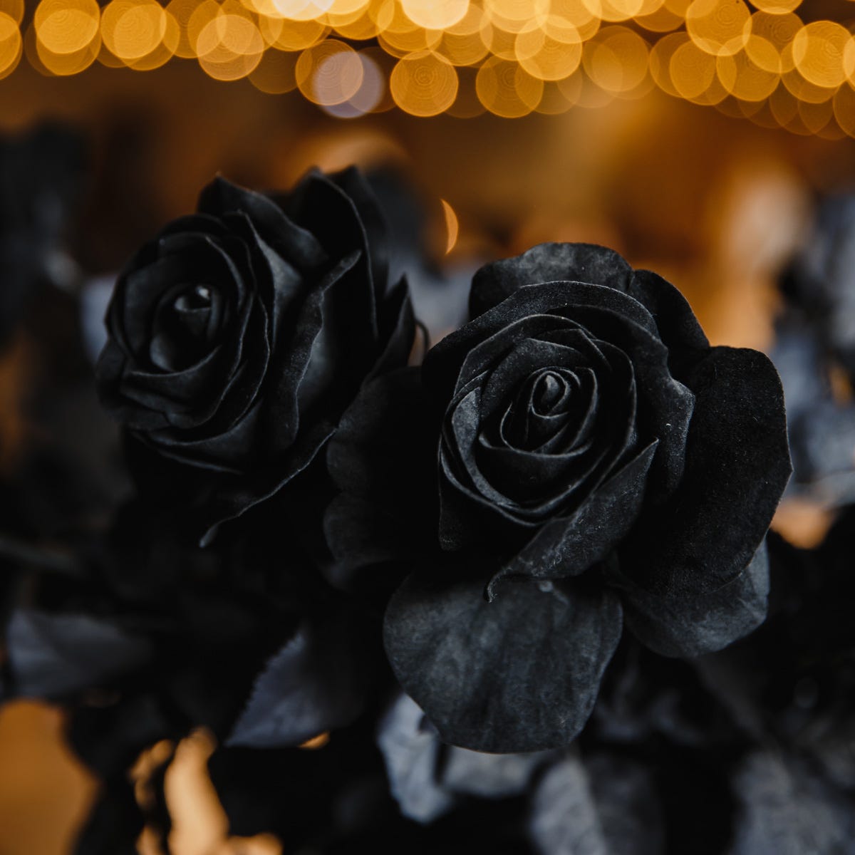 Black Rose & Oud (520mls)