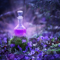 Love Secrets Fragrance Oil