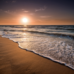 Summer Sunset Fragrance Oil