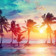 Caribbean Fragrance Oil